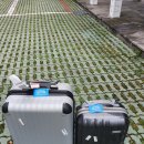 레프트핸더 스테이 이미지