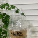 당진터미널맛집 샐러드박스 메뉴 추천 포장후기