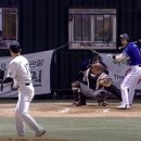 탄천종합운동장 탄천야구장 이미지