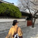 지그재그 내돈내산 후기