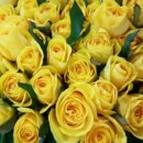 장미농장2 이미지