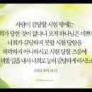 [NIV MDS A 2-6-3] 고린도전서 10장 13절 이미지