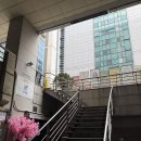 스시츠루 | [강남] 스시츠루 가성비 오마카세 4만원 런치 후기