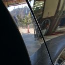 휠덴트