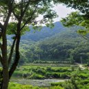산골너머캠핑장 - 2094 | 산골너머캠핑장