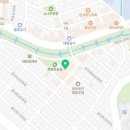 사파동293 이미지