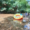 시원농원 이미지