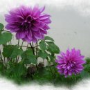 대자연농원 이미지