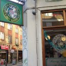 솔 피시 이미지