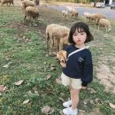 치즈클락 이미지