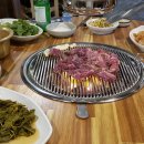 손문대구막창갈매기살 - 세종특별자치시 섭골길 35-1 | 손문대구막창갈매기살
