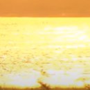 냇가에앉아서 이미지