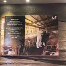 김호영농장 | [잠실] 잠실새내 고기집 백석 가격•분위기•메뉴•맛 후기