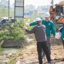 서구-6 이미지