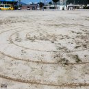 지족초등학교 이미지