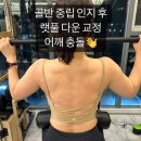 풀베르데 이미지