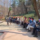 숲 걷기 명상 이미지