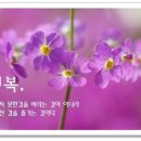 행복한날 이미지