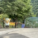 금개하우스 네이버블로그
