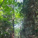 복지1리(남) 이미지