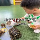 해피주 동물카페 원주점 | [원주] 원주 실내동물원 아이랑 가볼만한곳 추천 : 해피주 동물카페 원주점