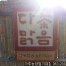 다맑음 이미지