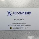 남산연합동물병원 네이버블로그