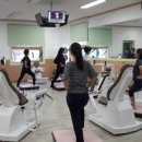 비만관리