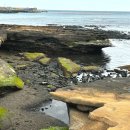 서쪽사계 | 제주도 서귀포 가볼만한곳 산방산 근처 사계해안 간조 물때 서쪽 여행 코스