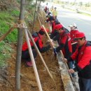 서삼면사무소 이미지