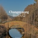 창녕 가볼만한곳 추천 수양벚꽃 명소 영산만년교