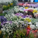 제주의 추억 | W.D ] 제주웨딩스냅, 제주의 오후 촬영 후기