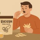 꽃보다 오징어 소프트 후기