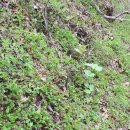 산덕농장 이미지