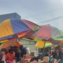 솔모루로 이미지