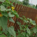 하원농장 이미지