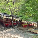 🏞️서울 북한산 계곡 삼천리골돼지집 내돈내산 백숙 후기
