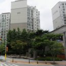 세종옵티마약국 이미지