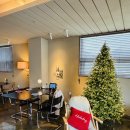 문동4길 | 연말모임 하기좋은 거제도양식당 (문동인간미 , 일레븐그릴 내돈내산 솔직후기)