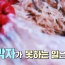 보령토굴젓갈