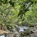 대운산펜션 이미지