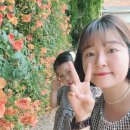 [세아네 일상]어제 세아네 일상과 구래동 호프집 스마일맥주 내돈내산후기