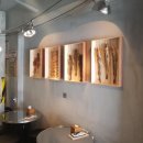 짝태패밀리 이미지