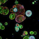 앤바이오 이미지