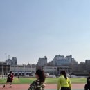 반포종합운동장 네이버블로그