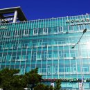 비치화이트애견펜션 | 낭만포차 숙소 여수 비치 펜션 후기, 애견동반 가능한 전 객실 오션뷰