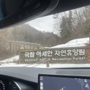 아세안마트 | 자연휴양림 추천, 아세안 자연휴양림 브루나이1 주말 후기(2024년 2월 3일 숙박)