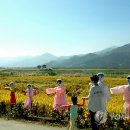 (주)들판 이미지