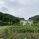 서종약국 이미지