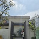 사네마켓 | 91. 🌿 사네피크닉 방문 후기